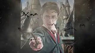International Harry Potter Day – May 2, 2022: 