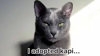 I adopted kapi...(read desc)