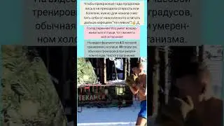 Голод и холод.
