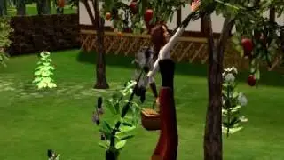 Chronicles of a Lone Kingdom