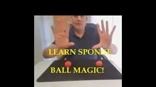 Learn Magic Tricks: Harry Houdini Family Sponge Ball Act
