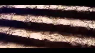 Сны 3 Мы спим меньше предков Факты о сне Последствия недосыпа Кто спит 2 часа в сутки