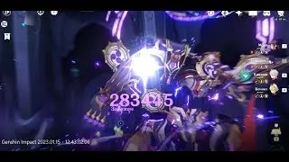 Raiden INSANE damage
