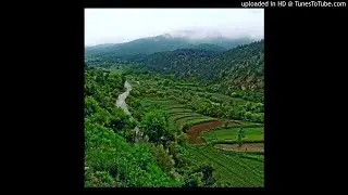 وګوره مینه د اشنا په سور انګار مې خیږوي منګی رباب - Wagora Meena Da Ashna Pashto Mangay Rubab