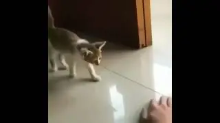 Уснул на ходу))