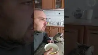 Избаловала тебя Советская власть
