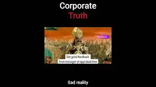 Corporate Realty