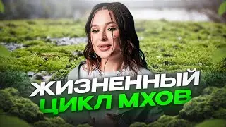 ЗАПОМИНАЕМ раз и навсегда ЖИЗНЕННЫЙ цикл МХА за 8 минут для ЕГЭ по биологии! / БОТАНИКА для ЕГЭ 2025