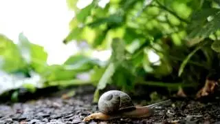 trying to  time lapse