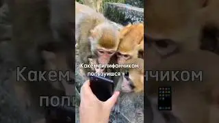 А у вас какой телефончик? 😁 