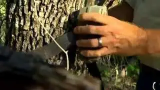 Stealth Cam Setup - Mounting Your Scouting Camera