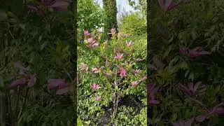 26 апреля 🌞 