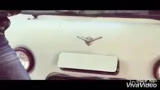 ТВСП-Миша Крокодил