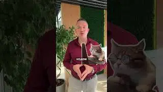 Приложения для поиска недвижимости в ОАЭ 🇦🇪 