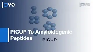 Photo-Induced Cross-Linking:Unmodified Proteins Applied To Amyloidogenic Peptides l Protocol Preview