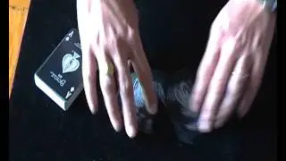 2-REVIEW BICYCLE SILVER & BLACK