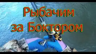 Рыбачим за Боктором 🐠🐋🦈