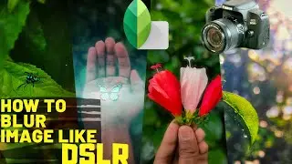 How to BLUR Image Like DSLR Using mobile|Snapseed| Mobile Edit