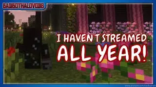 I HAVEN'T STREAMED ALL YEAR! | QSMP
