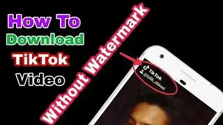Download TikTok Videos without watermark | Simple Trick to download TikTok Videos