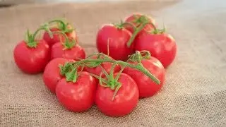 Tomato | Stock Footage - Videohive