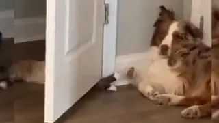 when you're tired but still want to play