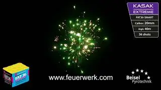 FAT36-01S von Gaoo