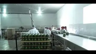 Чуйская область имеет лидирующие позиции по уровню развития промышленности