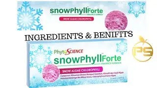 PHYTOSCIENCE SNOWPHYLL INGREDIENTS