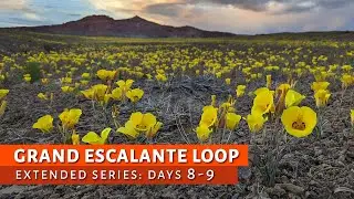 Choprock Canyon, Hoodoos, and Moody Wildflowers | GEL Part 4