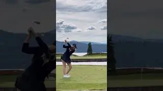 flying to whatever it lands on..