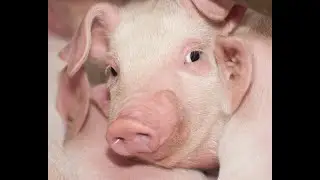 МНЕ НУЖНА ПОМОЩЬ