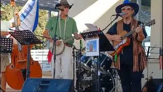 Lovesick Blues (cover)