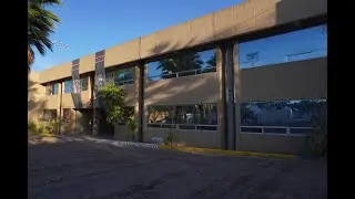 Articulo 41 Constitucional -  2022