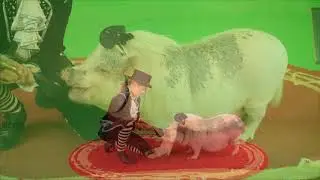 Нюша