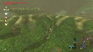 Zelda BotW test stream