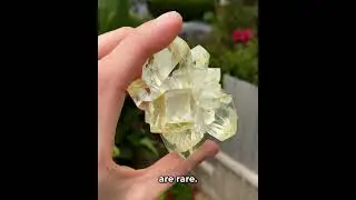 Phosphorescent Selenite Flower 🌼