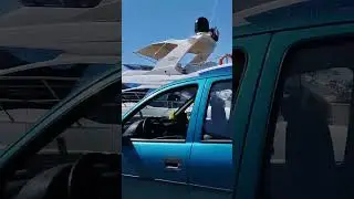 20 ноября 2023 г.