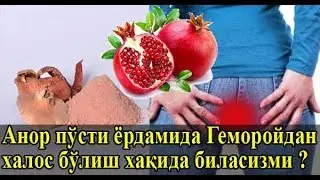 Анор Пустининг Сиз Билмаган Сир Синоатлари