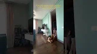 Видео из тг эда! ТГК: EDISON FAMILY