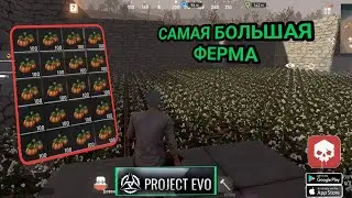 САМАЯ БОЛЬШАЯ ФЕРМА В PROJECT EVO 