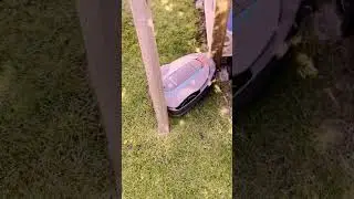 Mähroboter VERKANTET - wie schafft er das? #gardena #mähroboter