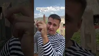 13 августа 2024 г.