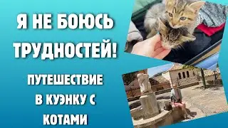 Влог. Путешествие в Куэнку с котятами: идеальное место для отдыха в Испании