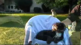 Toms Family Portrait August 2011