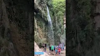 En Gedi Nature Reserve Israel 2023 שמורת טבע עין גדי ישראל