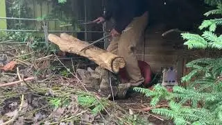 You'll Log