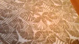 201305-25 19.08.32