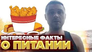 Хорошо покушали. Интересные факты о питании.