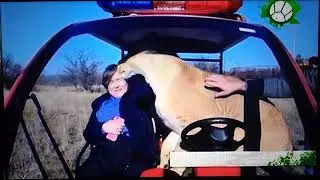 Звериный репортёр 5 й выпуск